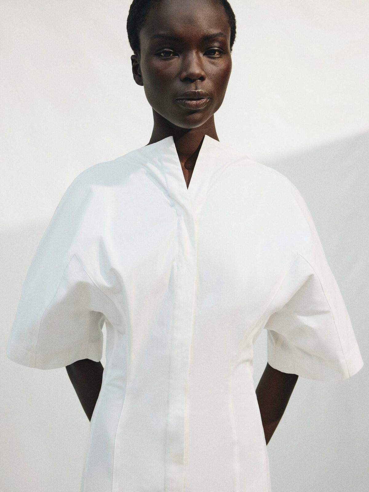 The Moisson dress